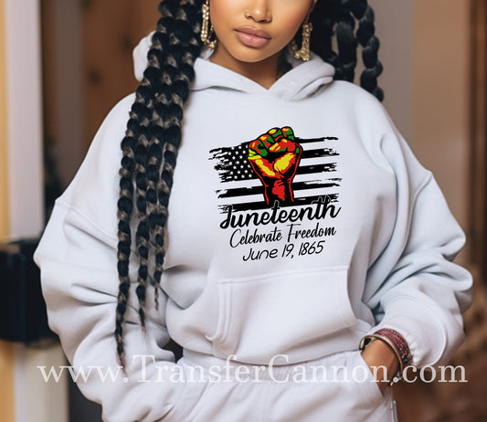 Juneteenth Celebrate Freedom June 19, 1865